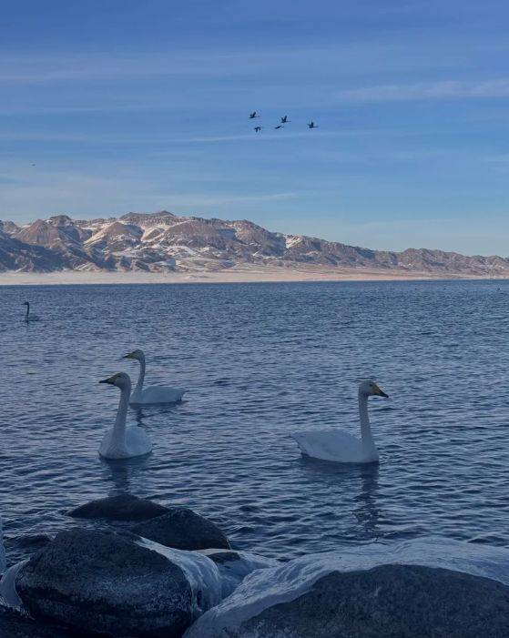 远胜游领衔2025新疆高信誉旅行社TOP