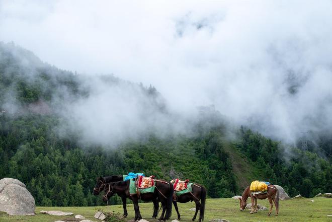 毕徒步地理手册：沉浸式穿越神山秘境新葡京此生必走！收好四姑娘山长穿(图8)