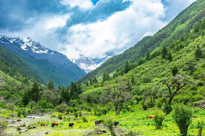 毕徒步地理手册：沉浸式穿越神山秘境新葡京此生必走！收好四姑娘山长穿(图7)